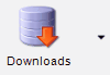 Downloads Icon