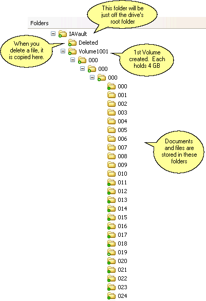 Folder Tree Created By Imaging Assistant